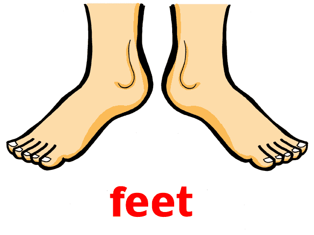 Английский язык leg. Нога карточка для детей. Нога мультяшная. Стопы мультяшные. Нога картинка.