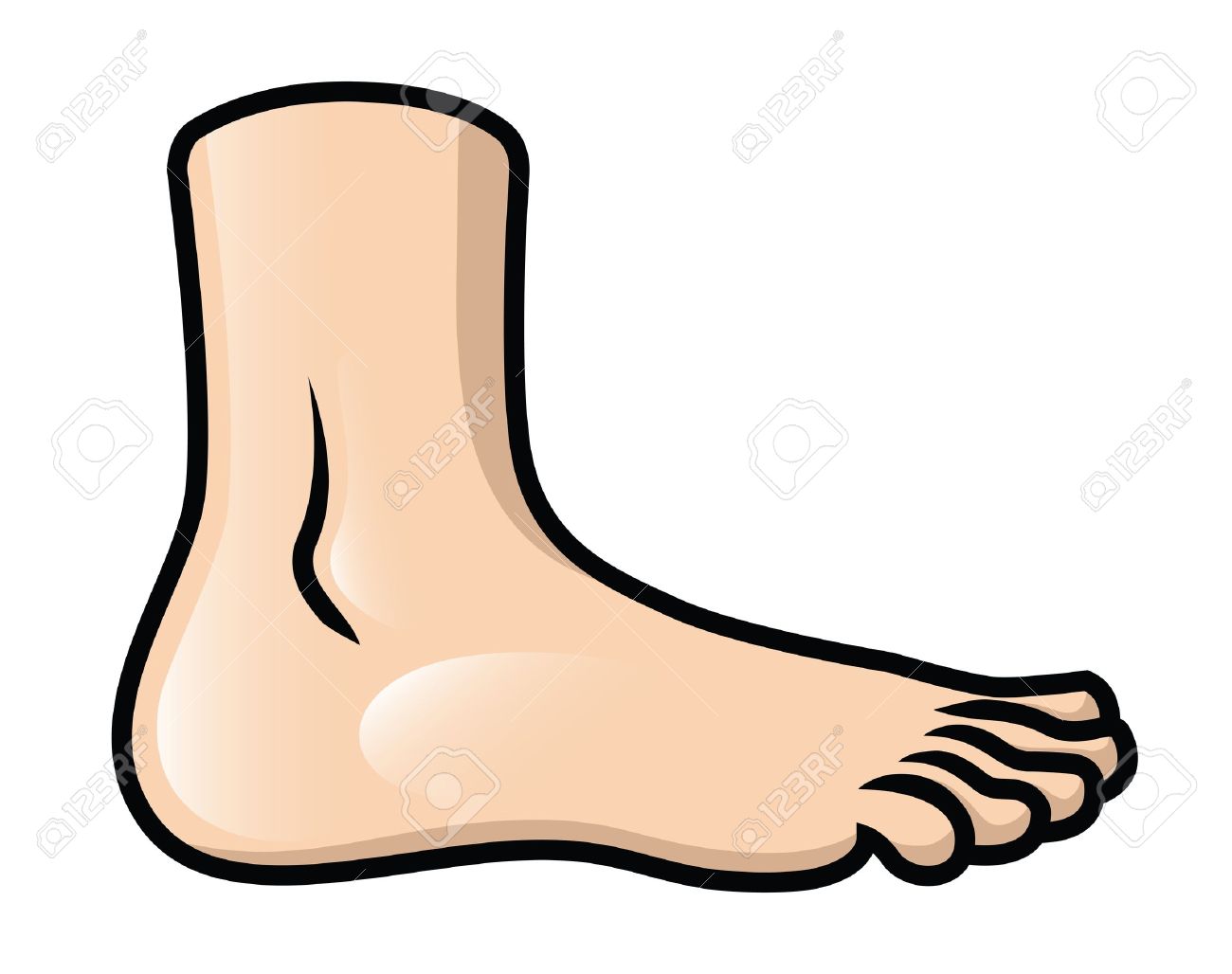1300x1028 Feet Clipart Foot Heel