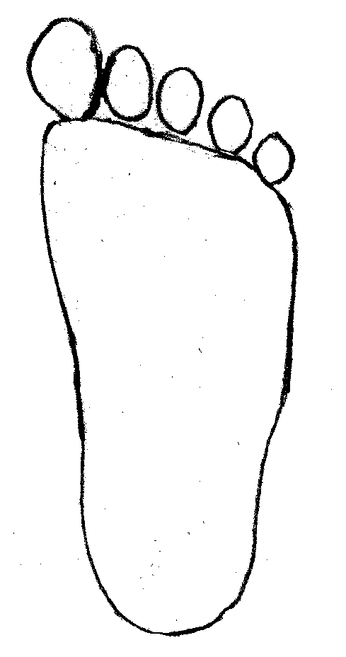 489x929 Outline Of A Footprint