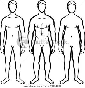 291x300 Body Outlines