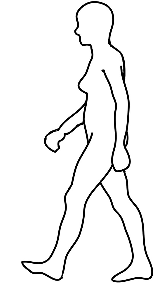 531x1024 Body Silhouettes