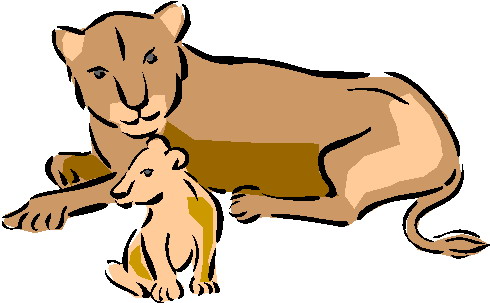 490x303 Lioness Clipart Female Lion