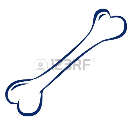 450x450 Human Bone Clipart, Explore Pictures