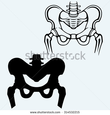 450x470 Skeleton Clipart Hip