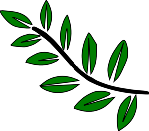 Fern Leaf Clipart