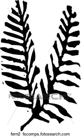 279x470 Clipart Of Fern 2 Fern2