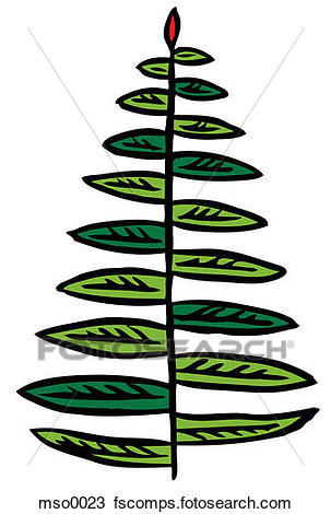303x470 Drawing Of A Fern Leaf Mso0023