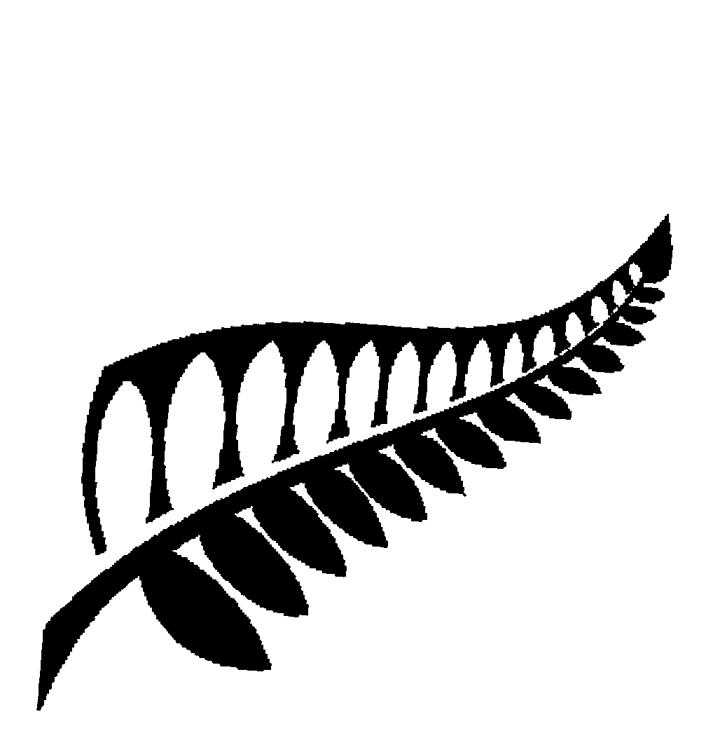 1008x1046 Fern Leaf,silhouette By The New Zealand Way Limited