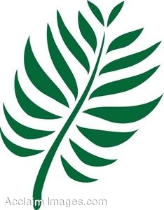 234x300 Fern Leaf Clip Art