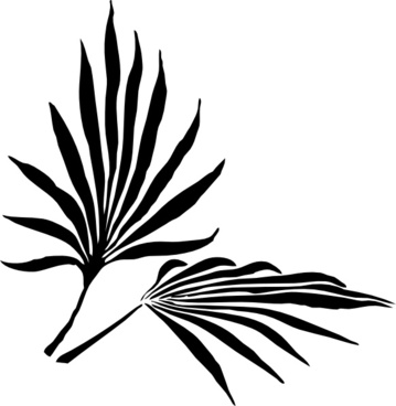 359x368 Fern Frond Vector Free Vector Download (25 Free Vector)