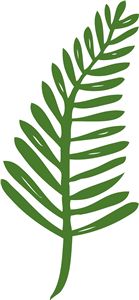 139x300 Palm Frond Clip Art Free. Transparent Background. This Is A More