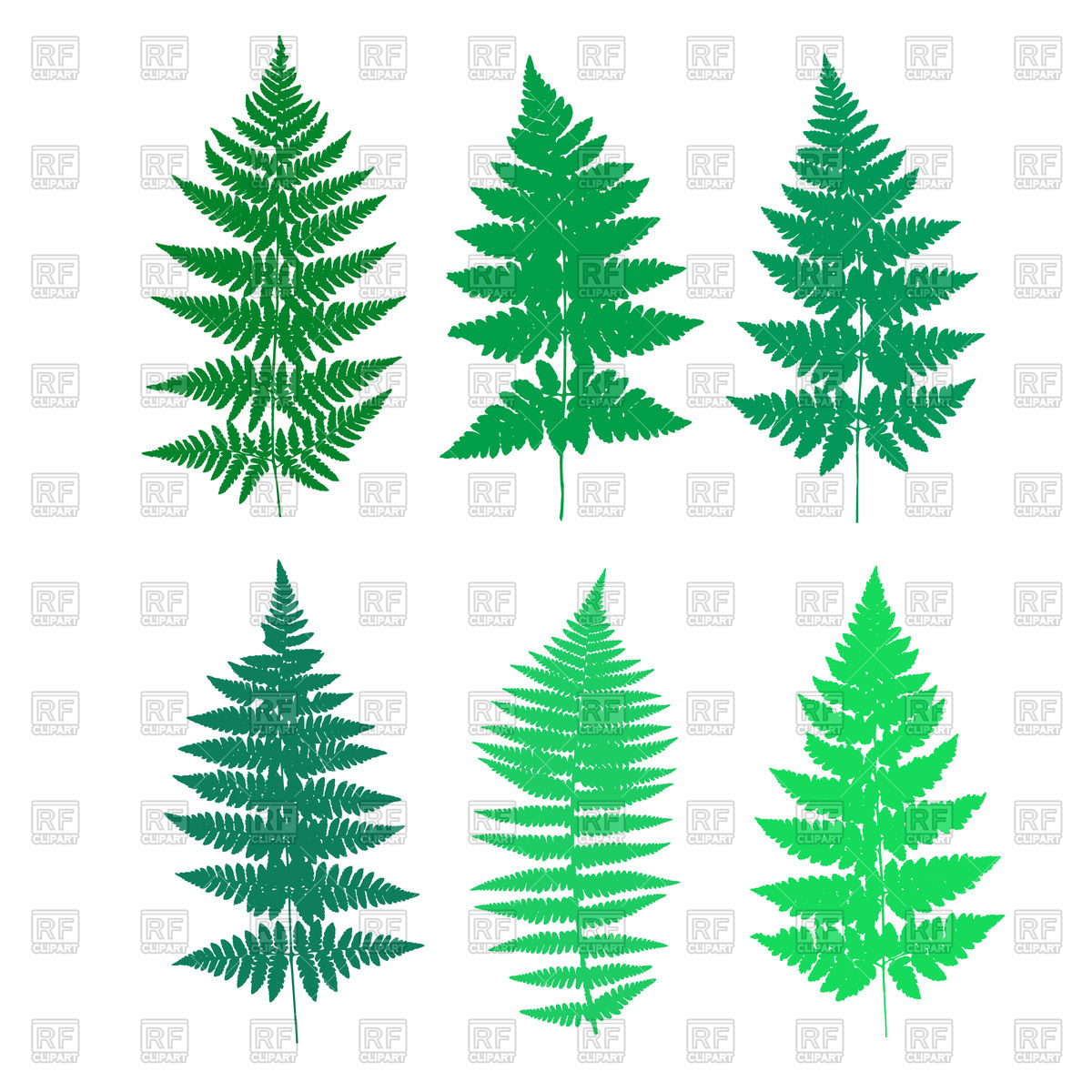 1200x1200 Set Of Fern Frond Silhouettes Royalty Free Vector Clip Art Image