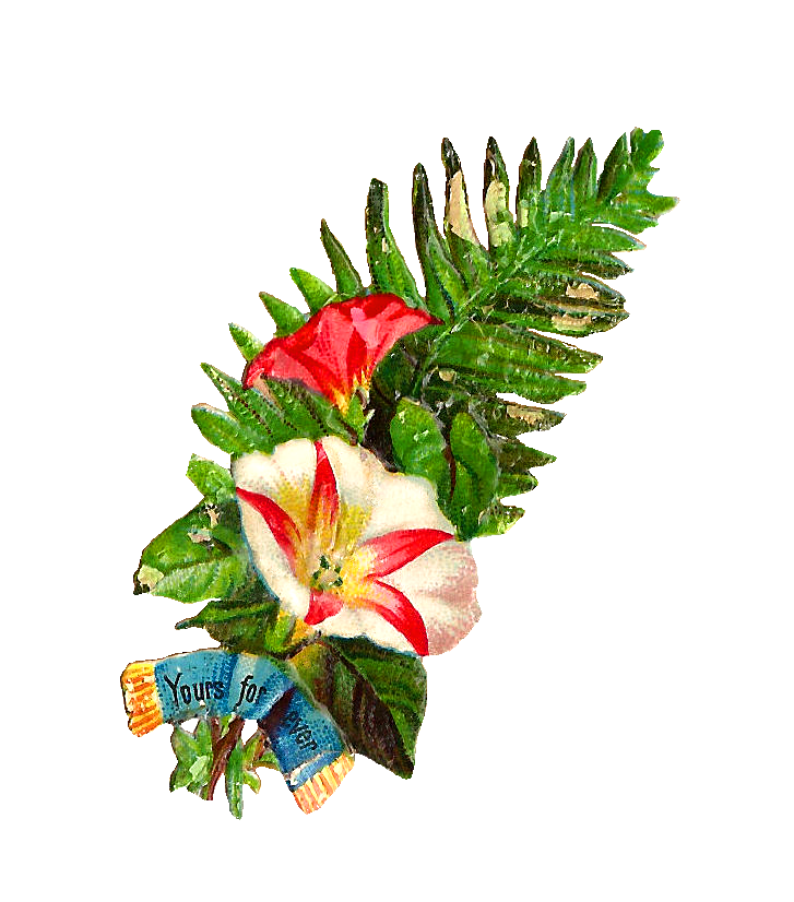 727x826 Antique Images Free Flower Clip Art Graphic Of Flower Bouquet