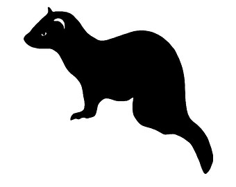 340x270 Top 92 Ferret Clip Art