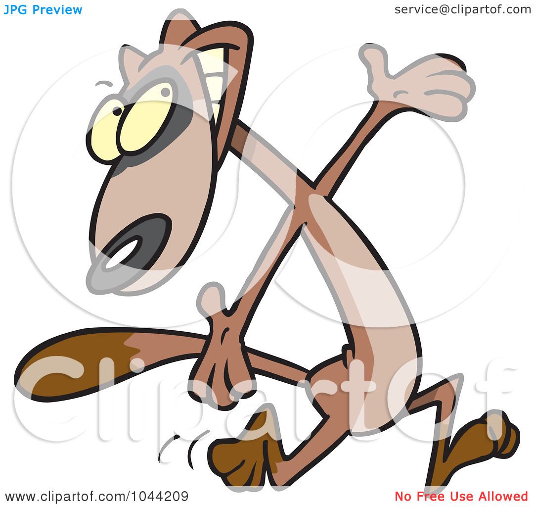 1080x1024 Top 94 Ferret Clipart