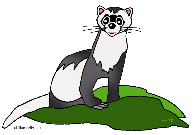 648x452 Top 95 Ferret Clip Art