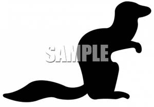 300x209 Top 95 Ferret Clipart