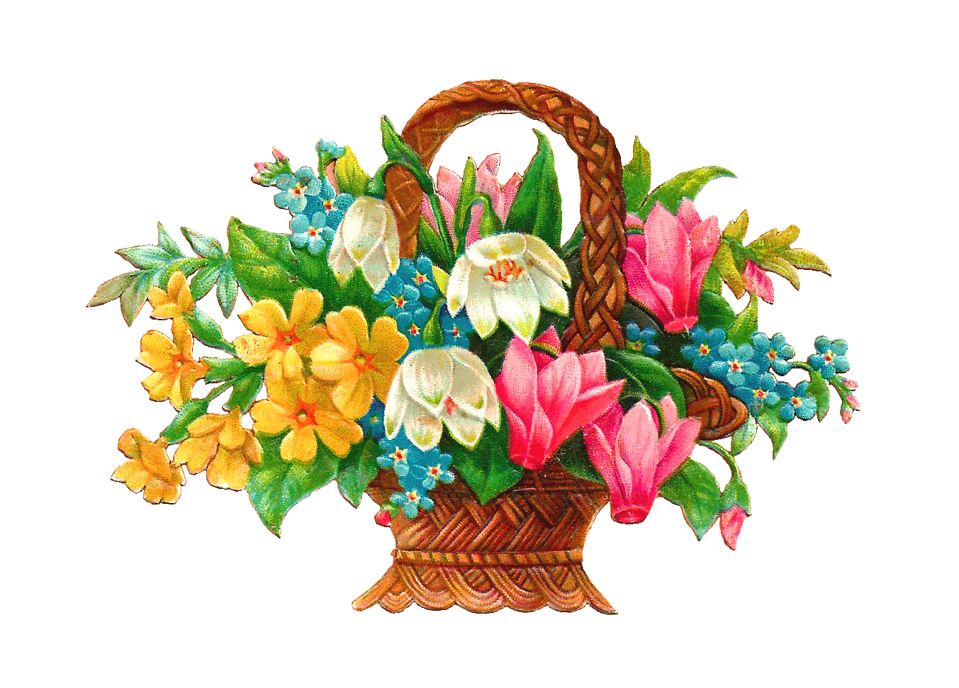 1353x971 Festival Clipart Flower