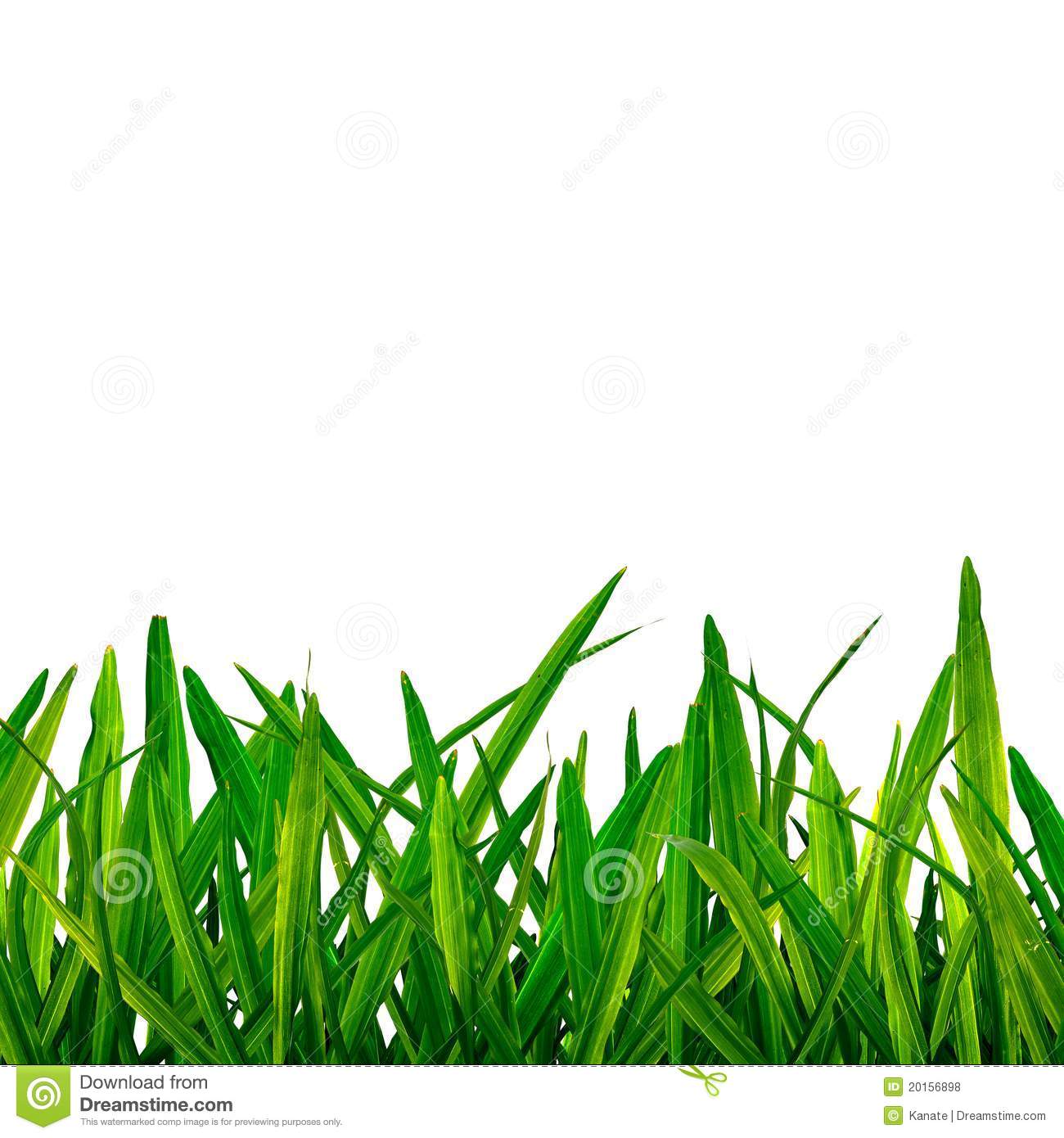1300x1390 Grass Field Background Clipart