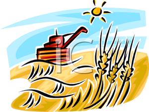 300x227 Wheatfield Clipart