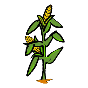 300x300 Corn Clipart Feild