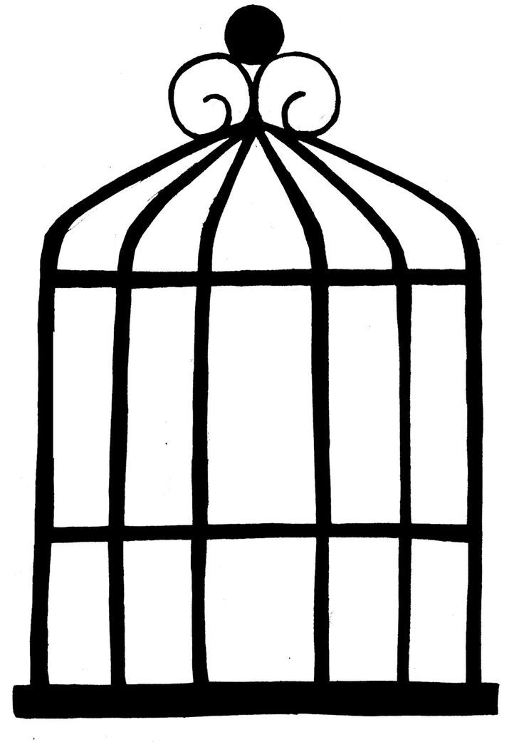 736x1041 Best Birdcage Drawing Ideas Art Clipart, Bird