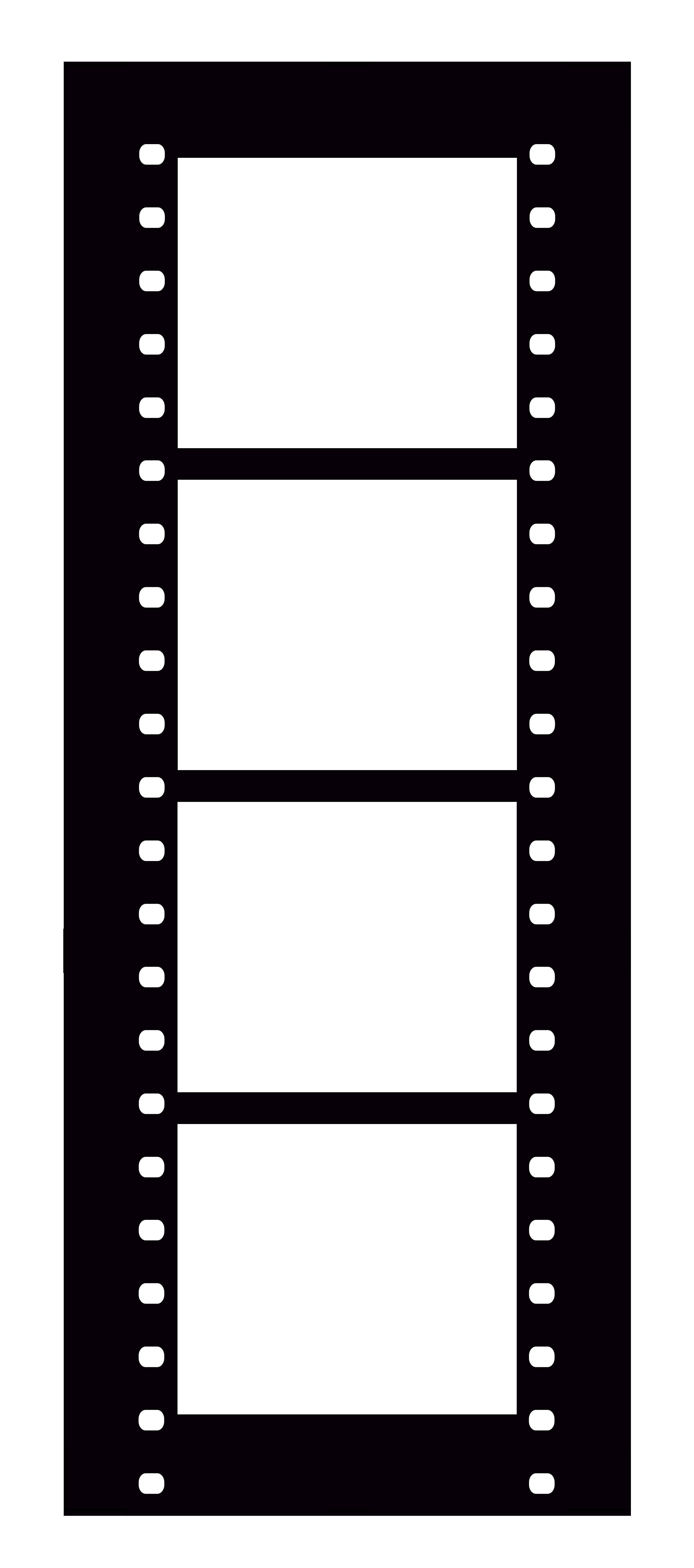 3300x7452 Film Strip Canvas Photos On Film Wall Decor Artwork Blossom