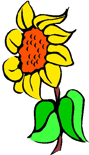 297x516 Sunflower Financial Images Clip Art