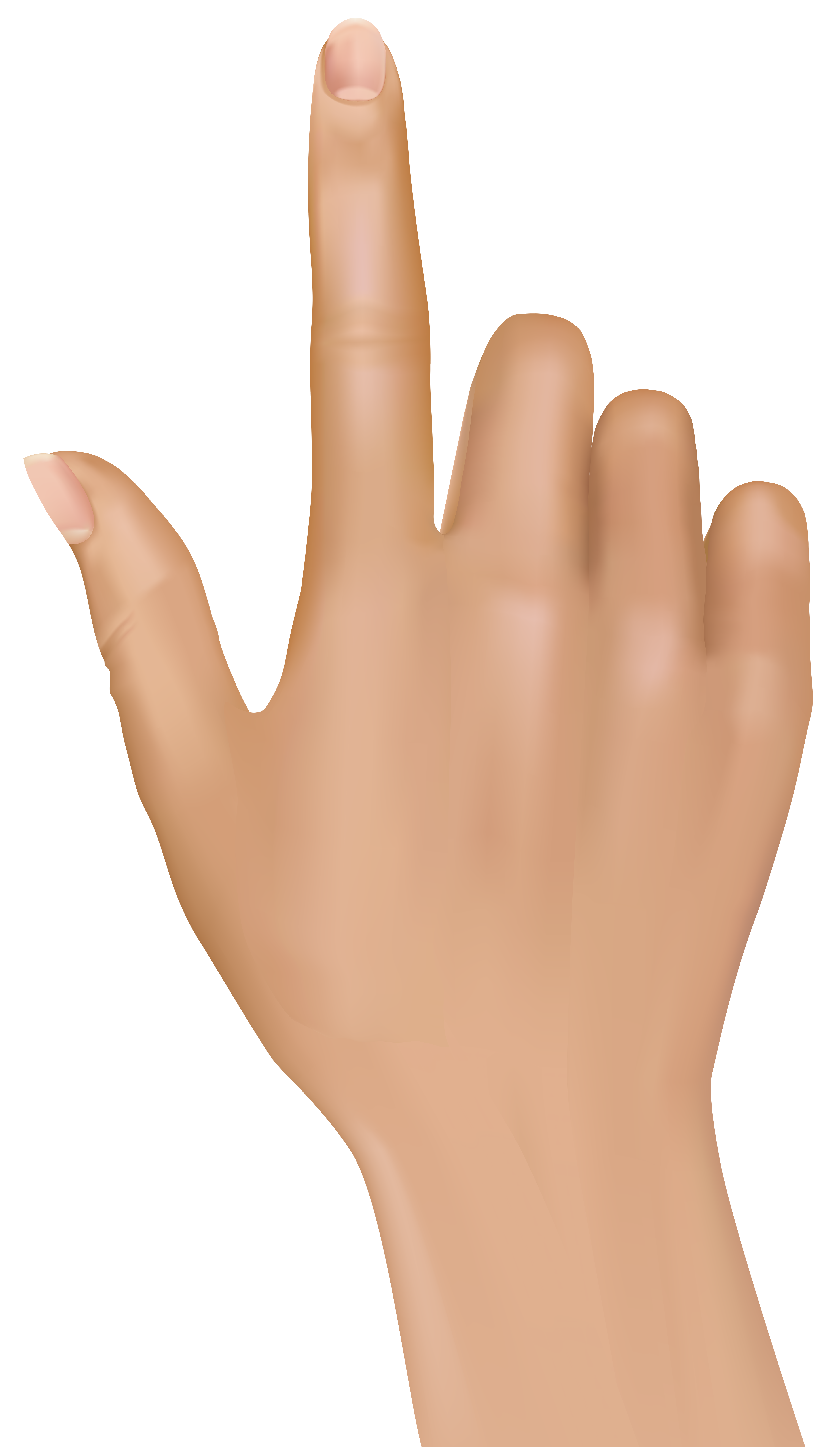 4643x8000 Tuching Finger Hand Png Clip Art