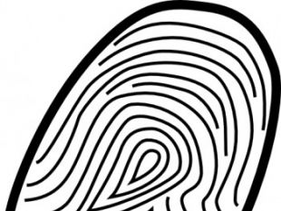 310x233 Vector Fingerprint Free Vectors Ui Download