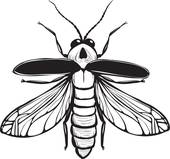 170x159 Firefly Clip Art