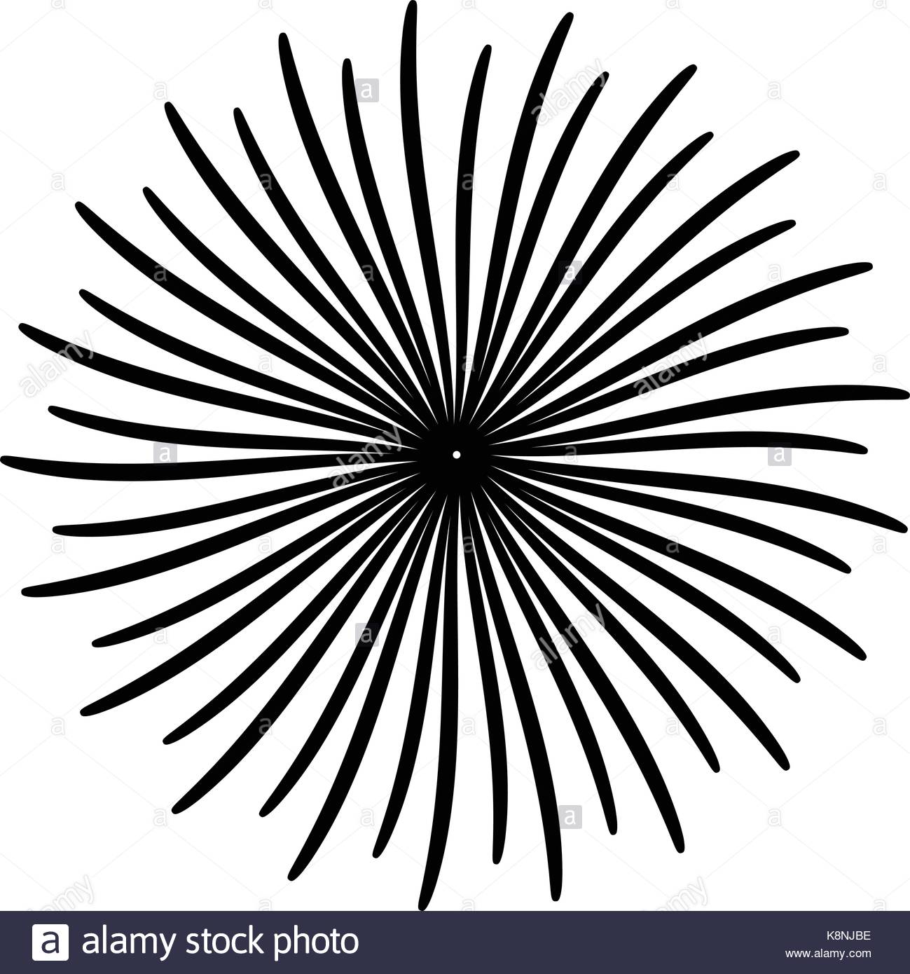 1299x1390 New Year Fireworks Black And White Stock Photos Amp Images