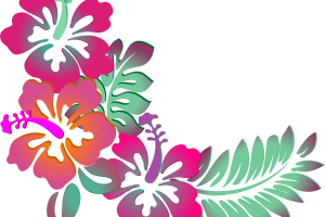 300x200 Fireworks Clipart Transparent Clipart Station