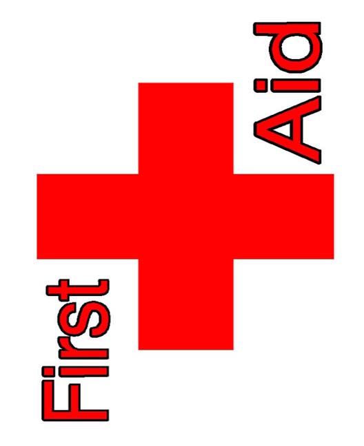 528x648 First Aid Clipart Danasrgg Top 2 Image