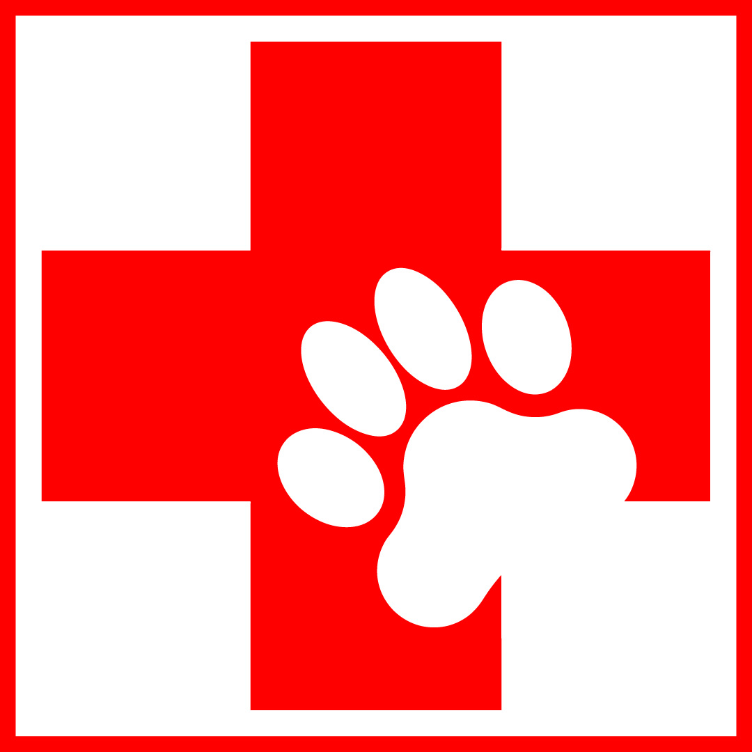1080x1080 Logo Paw Print First Aid Clipart