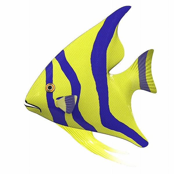 600x600 Fish Animated Pictures