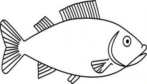 490x280 Fish Black And White Fish Outline Clipart Black And White