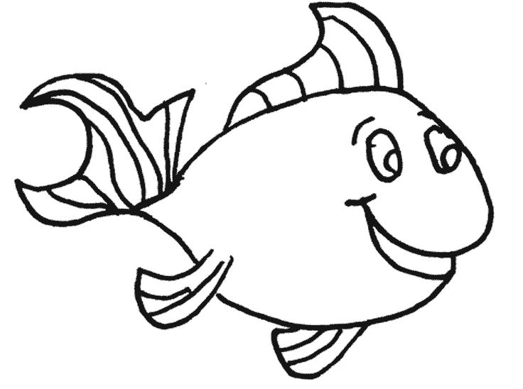 736x548 Sketch Clipart Fish