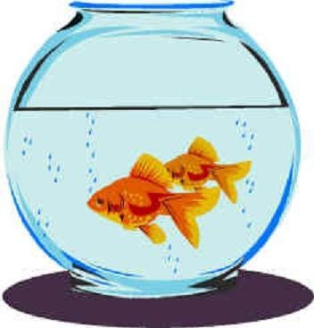 352x367 Fish Bowl Coloring Pages Preschool Fish Printable Clip Art