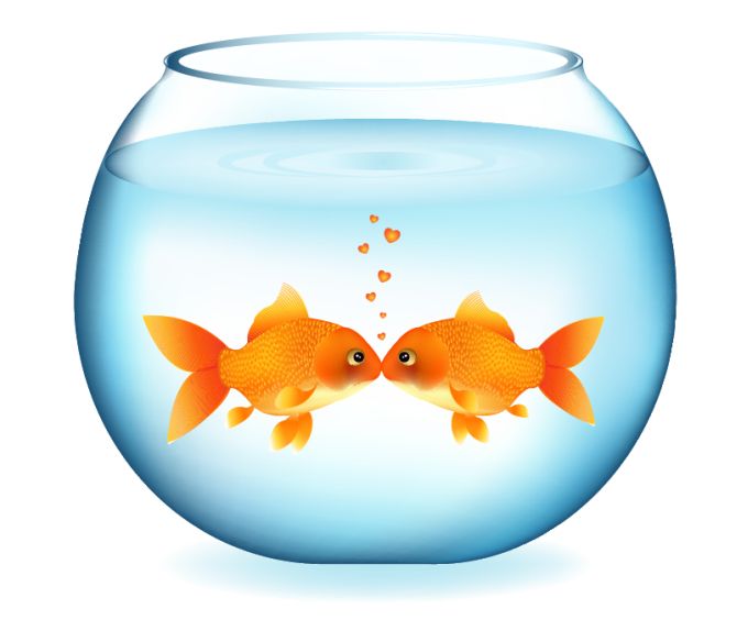 680x564 Fish Bowl Clip Art Clipart Image