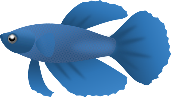 582x336 Marine Fish Clipart Transparent Fish