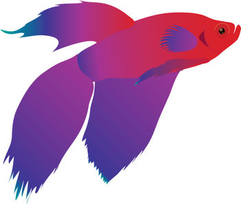 350x297 Betta Fish Clip Art