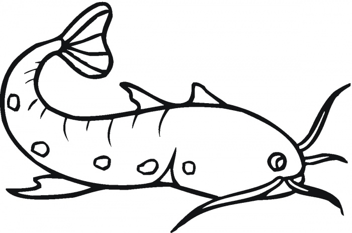 700x463 Cat Fish Cliparts Many Interesting Cliparts