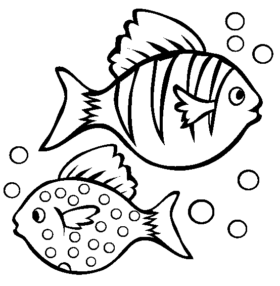 554x565 Fish Black And White Black And White Fish Clip Art 3