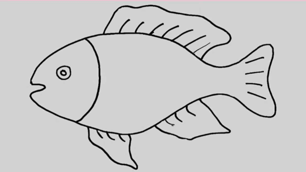 1024x576 How To Draw A Fish For Kids