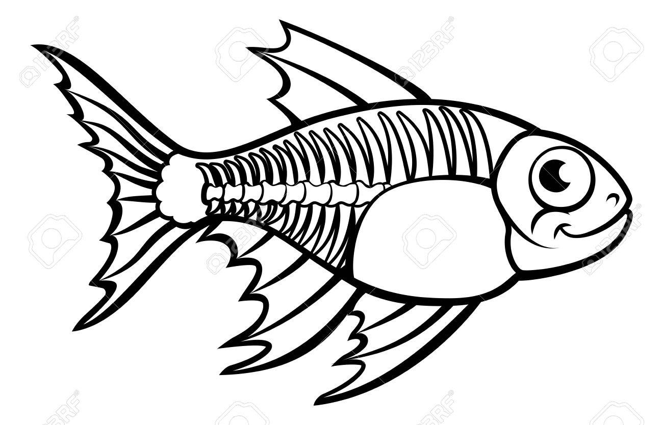 1300x834 X Ray Tetra Fish ( Pristella Maxillaris) In Cartoon Character