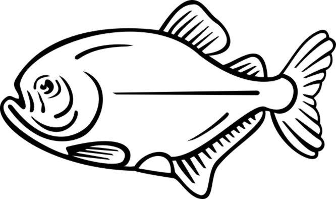 666x394 Drawn Fish Piranha
