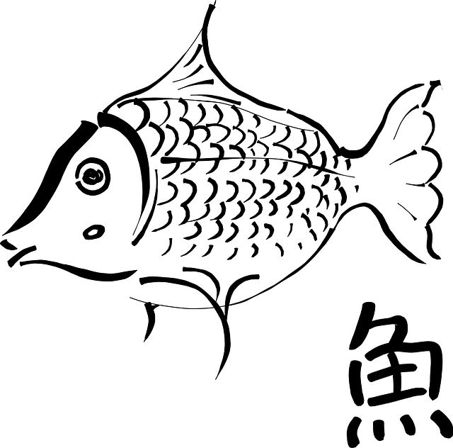 640x632 19 Best Koi Drawing Images Fish, Drawing Ideas