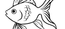 272x125 Best Fish Drawings Ideas Fish Art, Fish