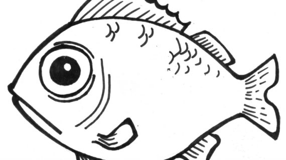 570x320 Easy Fish Drawings Simple Fish Drawing Clipartsco